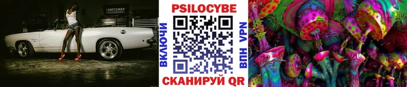 цены   Разумное  omg рабочий сайт  Галлюциногенные грибы Psilocybe 
